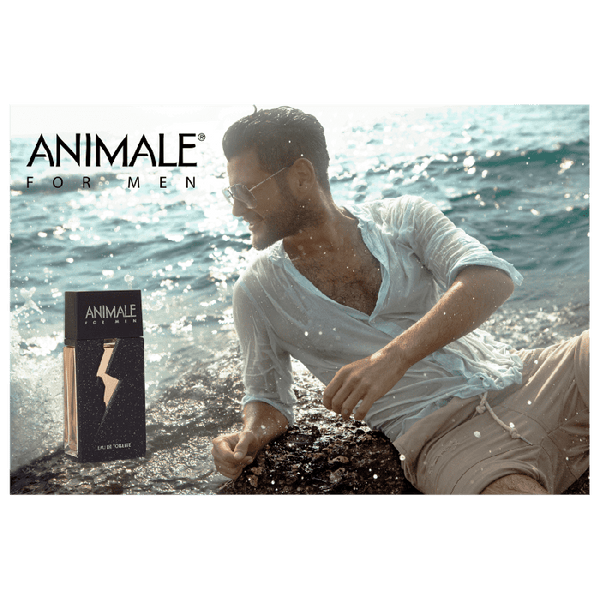 Animale For Men - Animale